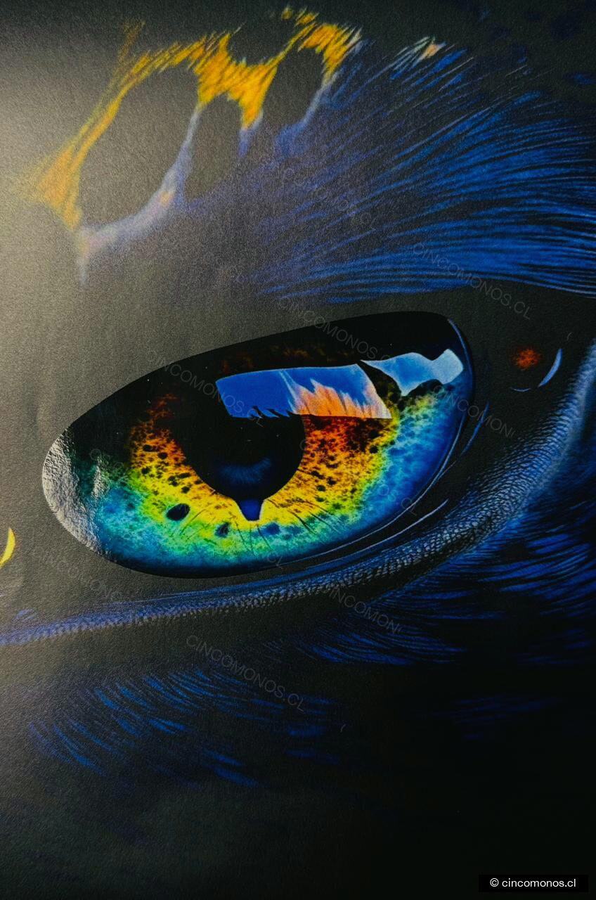 Ojo de águila impreso en gran formato