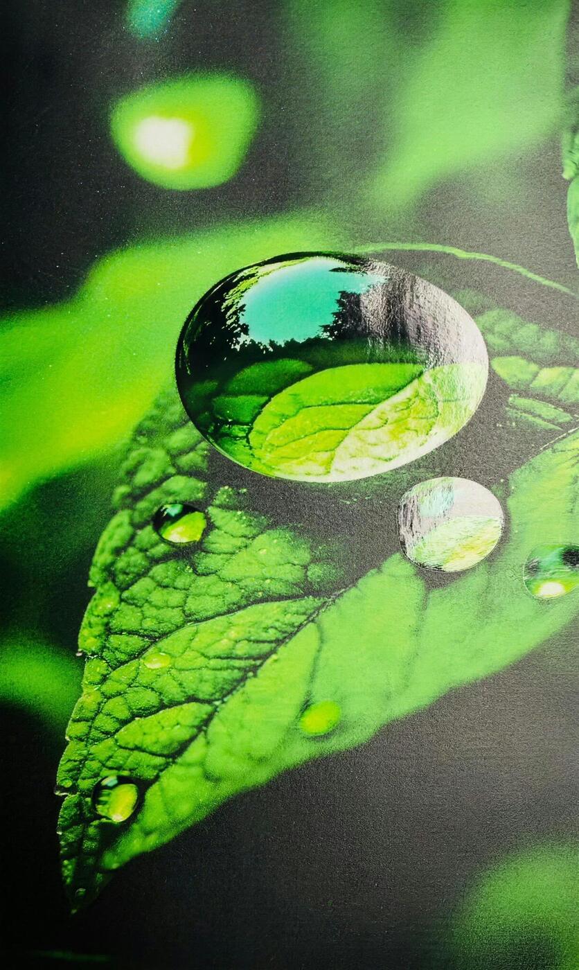 Stickers holográficos con impresión de alta definición